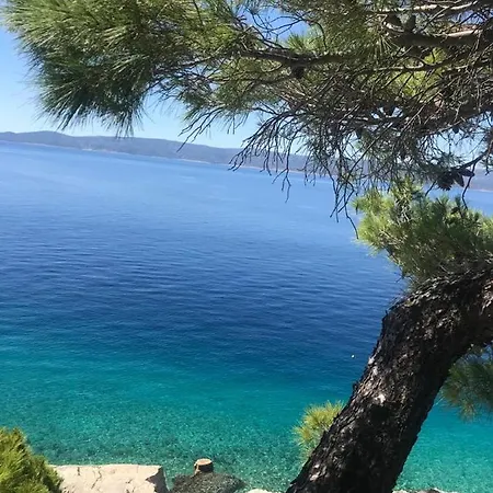 Vacation House Robinson Marusici (Split-Dalmatia)