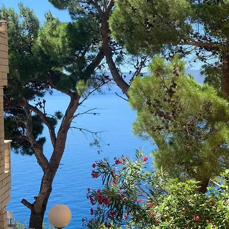 Vacation House Robinson * Marusici (Split-Dalmatia)